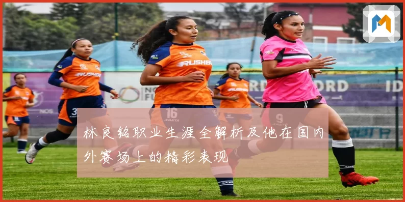 林良铭职业生涯全解析及他在国内外赛场上的精彩表现