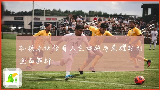 孙杨泳坛传奇人生回顾与荣耀时刻全面解析