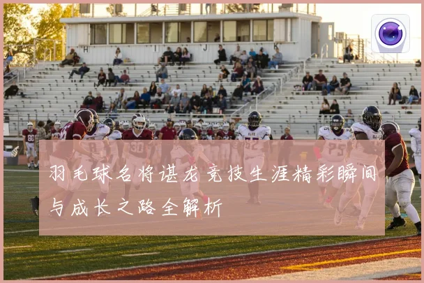 羽毛球名将谌龙竞技生涯精彩瞬间与成长之路全解析