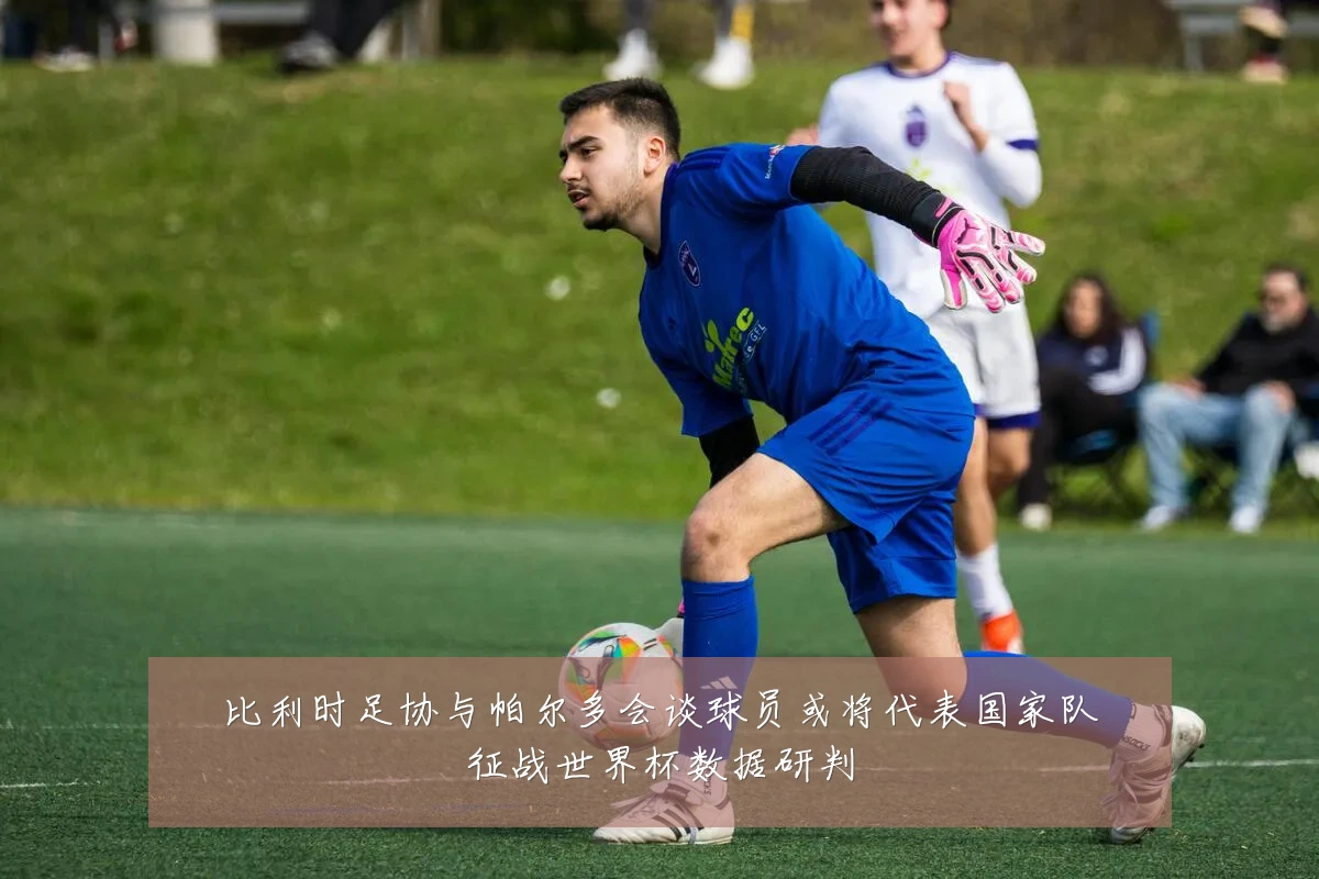 比利时足协与帕尔多会谈球员或将代表国家队征战世界杯数据研判