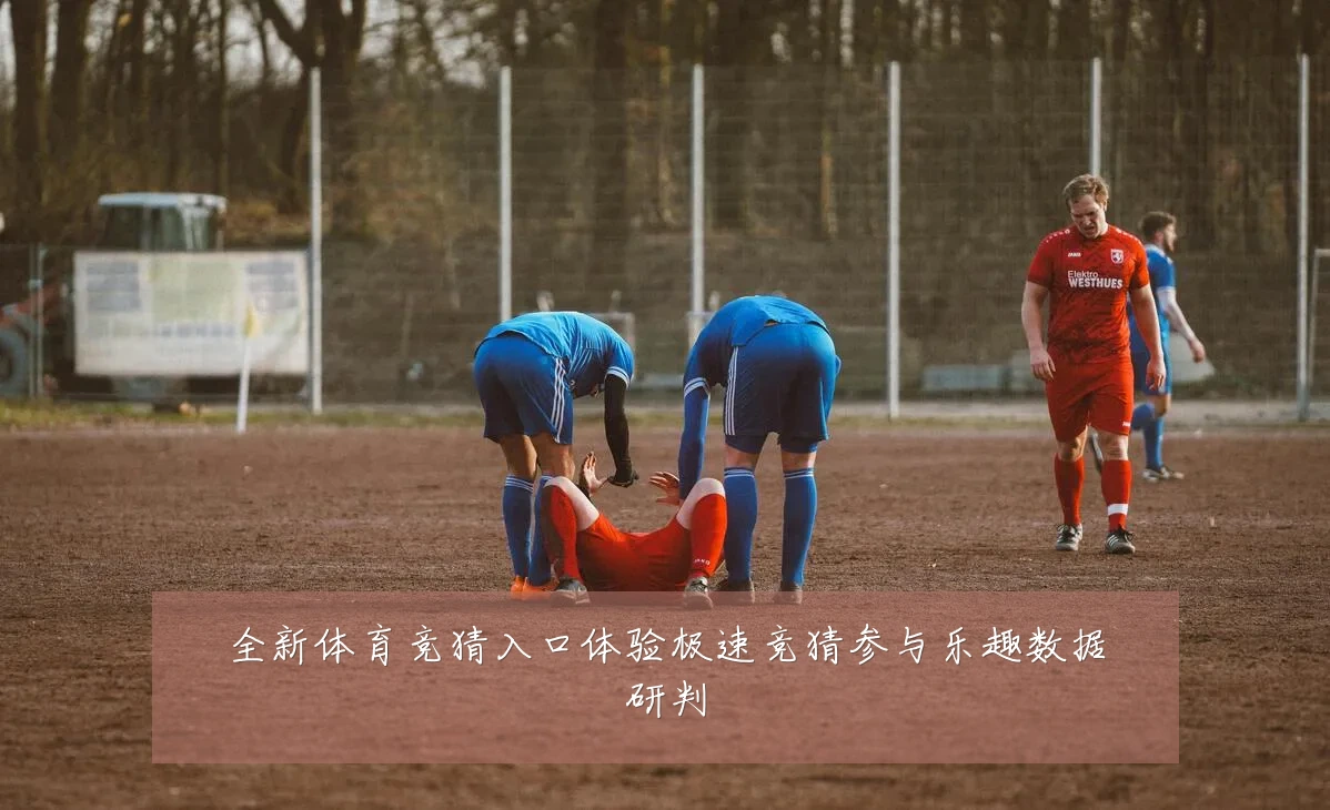 全新体育竞猜入口体验极速竞猜参与乐趣数据研判